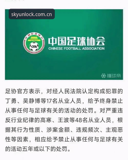 中国足协第三批禁足名单全面解析：行业乱象与体育精神的深度反思